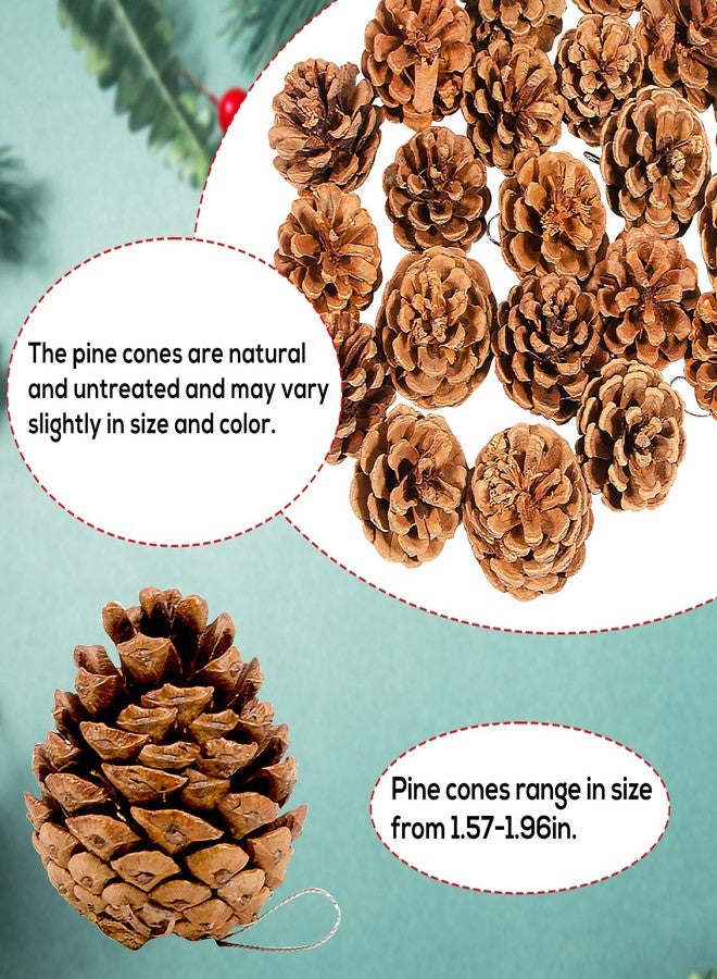 ZYP 24PCS Christmas Natural Pine Cones,Rustic Pinecones with String for Crafts & Decorating Winter Xmax Holidays Vase and Table Bowl Fillers(Dia. 1.57-1.96 Inches) - Image 2